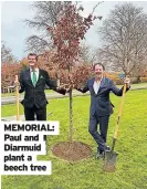  ?? ?? MEMORIAL: Paul and Diarmuid plant a beech tree