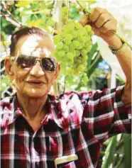  ??  ?? Anselmo Roque holds a cluster of grapes at his home.