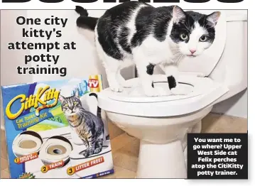  ??  ?? You want me to go where? Upper West Side cat Felix perches atop the Citikitty
potty trainer.