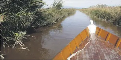  ?? ?? Sümpfe, Kanäle, Reisfelder: Das bietet eine Bootstour im Naturpark Albufera.