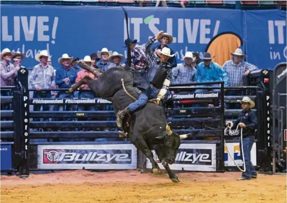  ?? PHOTOS: CONTRIBUTE­D ?? ABOVE: Ayr bullrider Budd Williamson loves his sport. He is competing in the PBR circuit and looking forward to a bullride in Cairns. BELOW: Budd Williamson has accepted injuries are part of the sport of bull riding.