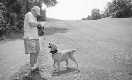  ?? Ben Dorger, Standardex­aminer ?? Arnie Smith, 82, brings his lovable yellow Lab, Gabby, to collect golf balls at Mt. Ogden Golf Course in Ogden, Utah. “That’s the best dog I’ve ever seen in my life right there. I love it,” says an Ogden golfer.