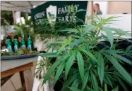  ?? AP PHOTO BY DAMIAN DOVARGANES ?? Marijuana plants are displayed at the Green Goat Family Farms stand at “The State of Cannabis,” a California industry group meeting in Long Beach on Thursday.