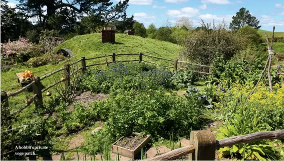  ??  ?? A hobbit’s private vege patch.