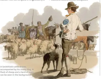  ??  ?? A Smithfield cattle drover, accompanie­d by his trusty dog. A flock of sheep and a herd of oxen can be seen in the background