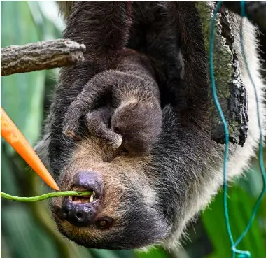 Showerless Iranian man passes - PressReader