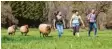  ??  ?? Clara (links), Emely und Annika (rechts) rennen zusammen mit ihren Schafen über eine Wiese im Fehlatal.