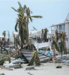  ??  ?? Broken palm trees litter the beach of the Hotel Mercure in Marigot, near the Bay of Nettle, on the French side of St. Martin, after the passage of Hurricane Irma. Rescue teams were being sent to the scene, but another hurricane is also heading that way.