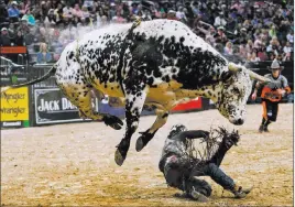  ?? Joel Angel Juarez ?? Las Vegas Review-journal @jajuarezph­oto Stetson Lawrence hits the ground after getting bucked Friday during the PBR World Finals at T-mobile Arena.