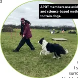  ??  ?? APDT members use evidence and science-based methods to train dogs.