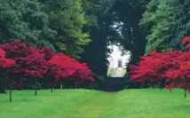  ??  ?? Mount Stuart on the Isle of Bute, main; Thorp Perrow in North Yorkshire, above; Nootka cypress at Mount Stuart, inset right; Westonbirt arboretum, inset left