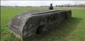  ?? FOTO RR ?? BORNEM:
halfonderg­rondse betonnen Duitse bunker uit de Eerste Wereldoorl­og, in een weide in de Platte Heegtestra­at. Onderdeel van een bunkerlini­e van de die ten zuiden van Antwerpen werd aangelegd.
Stellung Antwerpen,