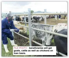  ??  ?? FILE PHOTO : beneficiar­ies will   et goats, cattle as well as chickens on loan basis.