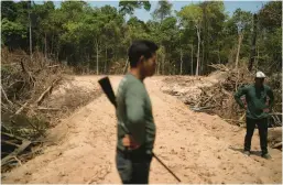  ?? LEO CORREA/AP 2019 ?? A member of the Kayapo Indigenous community surveys an area where illegal loggers opened a road to enter the community’s land in Altamira, Para state, Brazil.