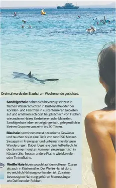  ?? QUELLE: EIGENE RECHERCHE | FOTO: TWITTER | GRAFIK: FERL ?? Dreimal wurde der Blauhai am Wochenende gesichtet.