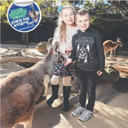  ?? Picture: DYLAN ROBINSON ?? Charlie Curic, 6, and Leyla Worner, 6, feed the kangaroos at Taronga Zoo.