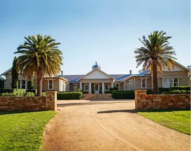  ??  ?? FROM LEFT: At the front of the house, Paul planted two large phoenix palms for shade; eventually, the structure over the dining pergola will be covered in wisteria, but until then bamboo provides shade; a view of the swimming pool from the house. Beds...