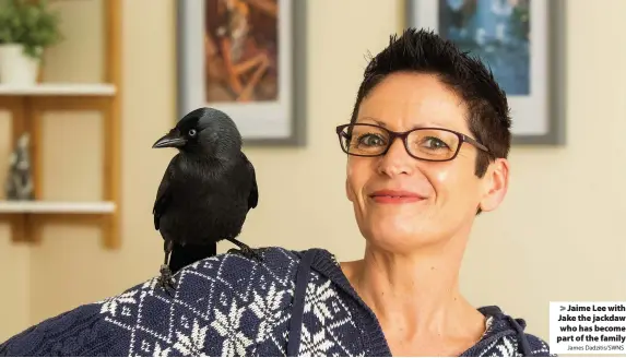  ?? James Dadzitis/SWNS ?? > Jaime Lee with Jake the jackdaw who has become part of the family