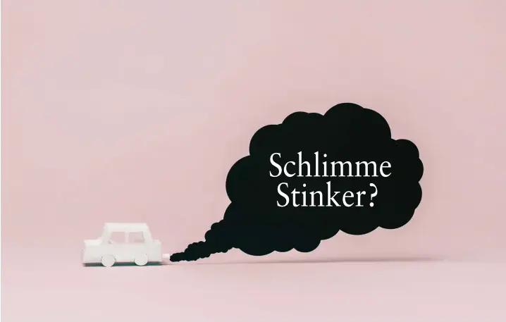  ??  ?? Schlimme Stinker?