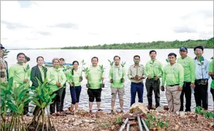  ?? MINISTRY OF ENVIRONMEN­T ?? 3,000 mangrove tree saplings were planted in Kep province on November 28.