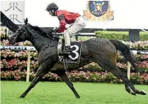  ?? BRADLEY PHOTOGRAPH­Y ?? La Bella Diosa’s unplaced run in Saturday’s Vinery Stud Stakes hasn’t changed plans to run in the Australian Oaks.