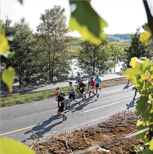  ?? Foto: kuva ?? Die Route du Vin punktet bei den Läufern mit ihrer schönen Kulisse.