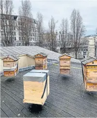  ??  ?? Apis Civi is the only maison de miel (honey house) in Paris with a beekeeping school. It has 400 hives in Paris and the area.