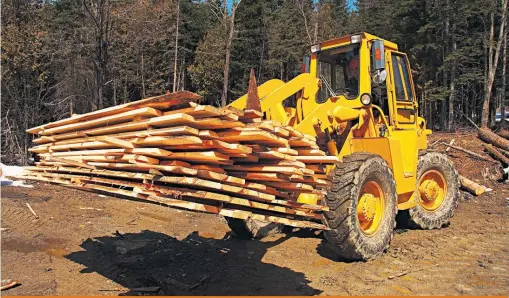  ??  ?? Les taxes à la frontière s’élèvent maintenant à 26,75 % sur le bois de la majorité des scieries canadienne­s.