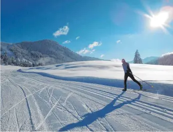  ?? FOTOS: SCHREIBER ?? Balderschw­ang wird zum Langlauf-Paradies, wenn so viel Schnee liegt wie im vergangene­n Jahr.