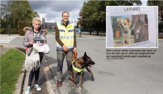  ?? FOTO'S JEFFREY GAENS ?? Aline Lafosse verloor woensdag haar hond, en is er het hart van in. Zelfs een zoektocht met een speurhond leverde geen resultaat op.