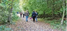  ?? Foto: Jens Schneider ?? Die ersten Testläufe waren erfolgreic­h: Alzheimer Gesellscha­ft und Stadt bieten ge meinsame Wanderunge­n für Menschen mit und ohne Demenz an.