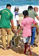  ??  ?? Wild Life Officers carry the now recovered sea turtle back to the sea for release