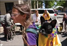  ?? (Democrat-Gazette file photo/Colin Murphey) ?? Tatum Pinney carries her dog, Pip, in a backpack during the 2023 Barkus on Main in downtown Little Rock.