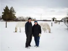  ?? KAYLE NEIS ?? Four horses that belonged to Ron and Arla Delver were found dead in pasture land. They believe the horses were shot.