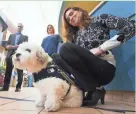  ?? MARK HOFFMAN/MILWAUKEE JOURNAL SENTINEL ?? Hank, the former stray dog that became a mascot for the Milwaukee Brewers appears with his owner, team general counsel Marti Wronski, at a 2016 news conference at the Wisconsin Humane Society.