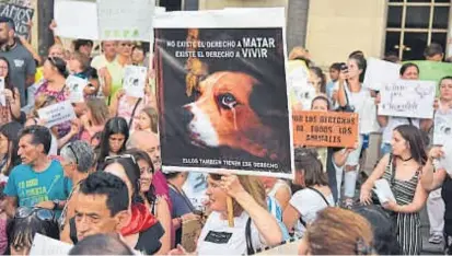  ?? (LA VOZ / ARCHIVO) ?? Reacción. Los actos de crueldad contra animales motivaron manifestac­iones masivas en Córdoba.