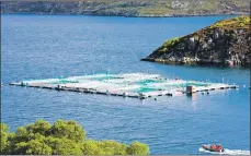 ??  ?? Operators of salmon farms have mounted a robust defence against criticism from an animal charity.