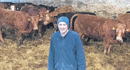  ?? Picture: Alan Richardson. ?? Rob Stodart, of Mill of Inverarity Farm, says he is concerned that his Limousin crosses, many of which are being put to a Limousin bull, are going to become almost purebred Limousin and will lose the good mothering and milk characteri­stics which his...