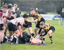  ??  ?? Hinckley RFC Under 16s in action. Picture: Suzie Mensforth-Grove