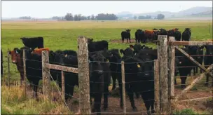  ??  ?? AGRO. El oficialism­o apuesta a que el campo lidere la salida de la recesión. ¿Será una V, una U o una L?