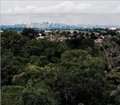  ?? LUIS SINCO/LOS ANGELES TIMES/TNS ?? The high-rises of Manaus jut out of the Amazon rainforest along the Rio Negro in northweste­rn Brazil.