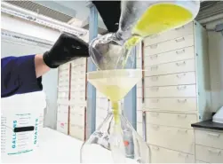  ??  ?? The beaker contains cannabis extract that is being prepared at the Constance Therapeuti­cs laboratory in Richmond.