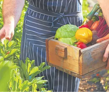  ??  ?? Above: Courier Country offers some of the best fresh produce in the world. Right: Christian Nissen of Highland Game.