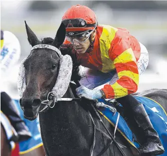  ?? Picture: AAP IMAGE ?? Smart filly Plumaro wins at Doomben on Saturday.