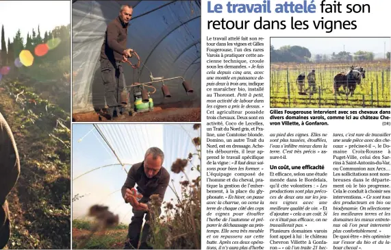  ?? (DR) ?? Gilles Fougerouse intervient avec ses chevaux dans divers domaines varois, comme ici au château Chevron Villette, à Gonfaron.