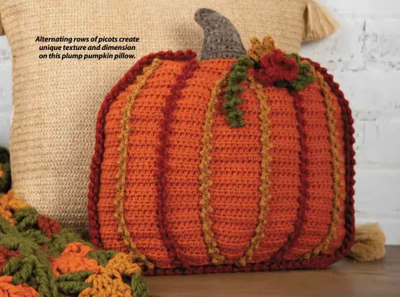  ??  ?? Alternatin­g rows of picots create unique texture and dimension on this plump pumpkin pillow.