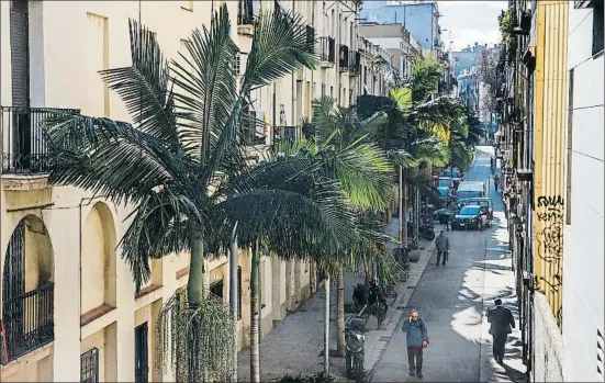  ?? DAVID AIROB ?? Algunes de les 18 palmeres del carrer Premià, a Sants, que sorprenen els passejants inadvertit­s per la seva bellesa i esveltesa