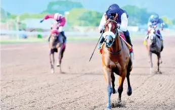  ?? FILE ?? ENGLAND’S ROSE (centre), ridden by Jockey Omar Walker.