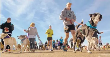  ?? GREG SORBER/JOURNAL ?? Dogs and runners begin the 5K Dash with Canines at the 36th Annual Doggie Dash &amp; Dawdle at Balloon Fiesta Park on Sunday. The event benefits Animal Humane New Mexico.