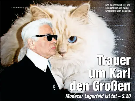  ??  ?? Karl Lagerfeld († 85) und sein Liebling, die Katze Choupette: Erbt sie alles?